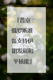 普京：俄罗斯准备支持伊朗发展和平核能