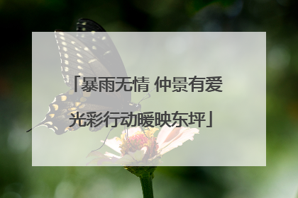 暴雨无情 仲景有爱 光彩行动暖映东坪