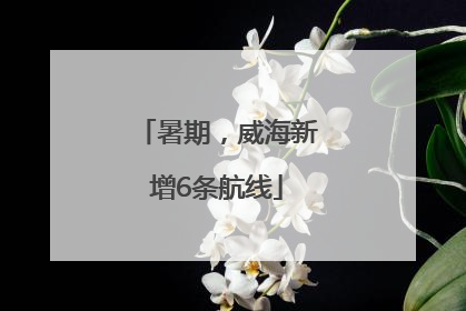 暑期，威海新增6条航线