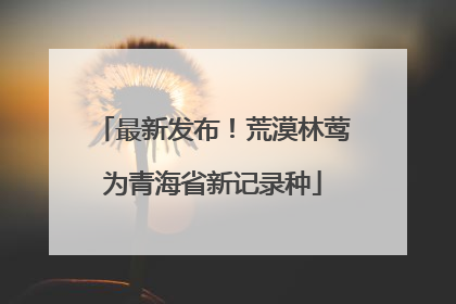 最新发布！荒漠林莺为青海省新记录种