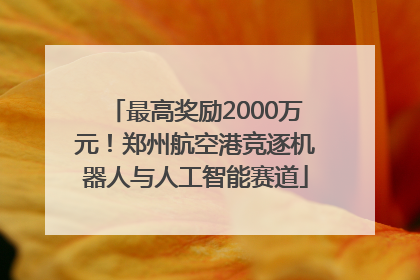 最高奖励2000万元！郑州航空港竞逐机器人与人工智能赛道