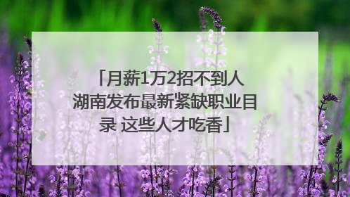 月薪1万2招不到人 湖南发布最新紧缺职业目录 这些人才吃香