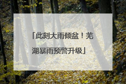 此刻大雨倾盆！芜湖暴雨预警升级