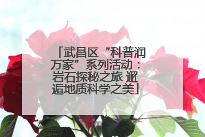 武昌区“科普润万家”系列活动：岩石探秘之旅 邂逅地质科学之美