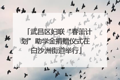 武昌区妇联“春蕾计划”助学金捐赠仪式在白沙洲街道举行