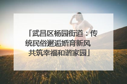 武昌区杨园街道：传统民俗邂逅婚育新风 共筑幸福和谐家园