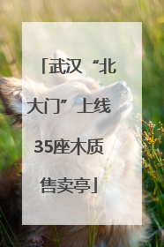 武汉“北大门”上线35座木质售卖亭