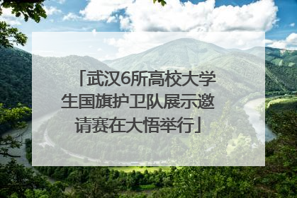 武汉6所高校大学生国旗护卫队展示邀请赛在大悟举行