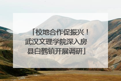 校地合作促振兴！武汉文理学院深入房县白鹤镇开展调研