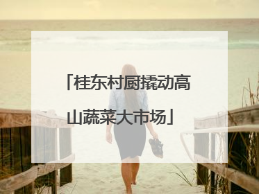 桂东村厨撬动高山蔬菜大市场