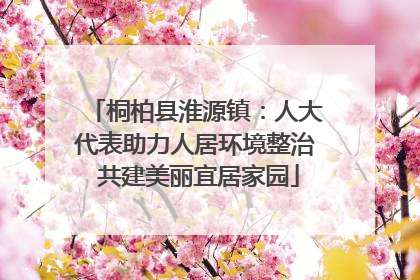 桐柏县淮源镇：人大代表助力人居环境整治 共建美丽宜居家园