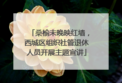桑榆未晚映红墙，西城区组织社管退休人员开展主题宣讲