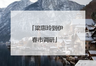梁惠玲到伊春市调研