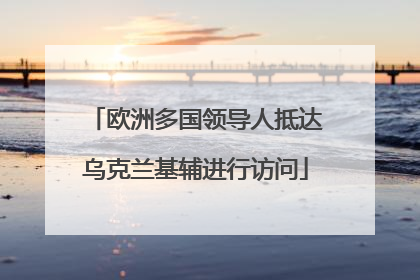 欧洲多国领导人抵达乌克兰基辅进行访问