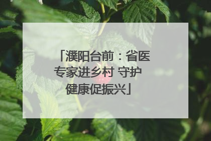 濮阳台前：省医专家进乡村 守护健康促振兴