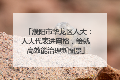 濮阳市华龙区人大：人大代表进网格，绘就高效能治理新图景