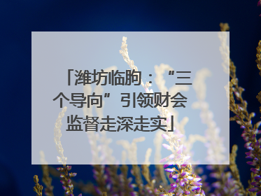 潍坊临朐：“三个导向”引领财会监督走深走实