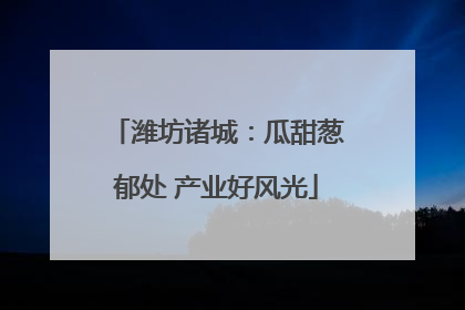 潍坊诸城：瓜甜葱郁处 产业好风光