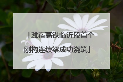 潍宿高铁临沂段首个刚构连续梁成功浇筑