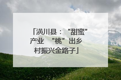 潢川县：“甜蜜”产业  “桃”出乡村振兴金路子