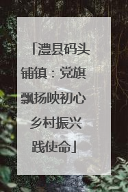 澧县码头铺镇：党旗飘扬映初心 乡村振兴践使命