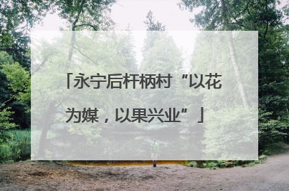 永宁后杆柄村“以花为媒，以果兴业”