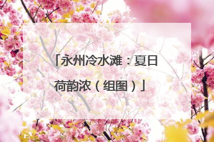 永州冷水滩：夏日荷韵浓（组图）