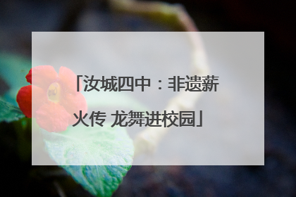 汝城四中：非遗薪火传 龙舞进校园