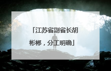江苏省副省长胡彬郴，分工明确