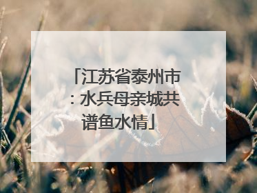 江苏省泰州市：水兵母亲城共谱鱼水情