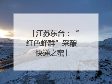 江苏东台：“红色蜂群”采酿快递之蜜