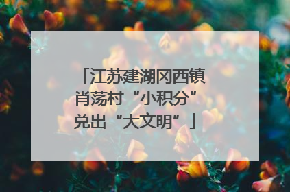 江苏建湖冈西镇肖荡村“小积分”兑出“大文明”