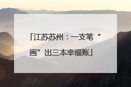 江苏苏州：一支笔“画”出三本幸福账