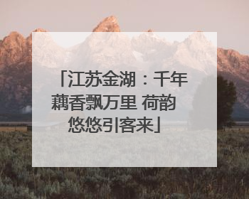江苏金湖：千年藕香飘万里 荷韵悠悠引客来