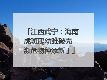 江西武宁：海南虎斑鳽幼雏破壳 濒危物种添新丁