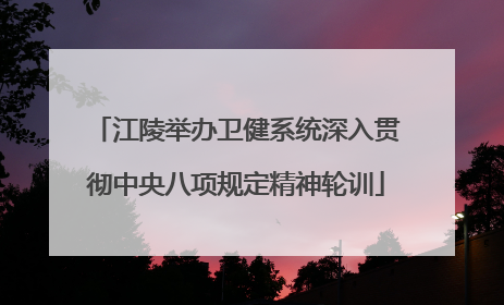 江陵举办卫健系统深入贯彻中央八项规定精神轮训
