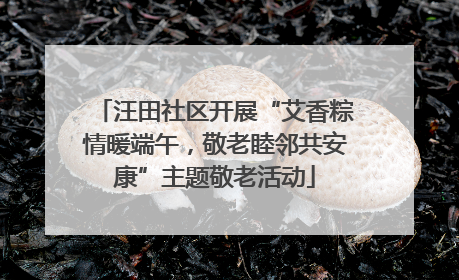 汪田社区开展“艾香粽情暖端午，敬老睦邻共安康”主题敬老活动