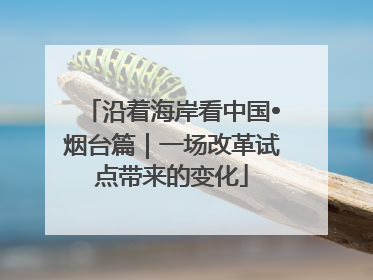 沿着海岸看中国•烟台篇｜一场改革试点带来的变化
