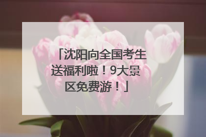 沈阳向全国考生送福利啦！9大景区免费游！