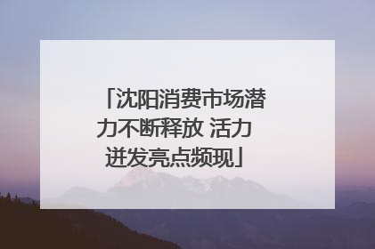 沈阳消费市场潜力不断释放 活力迸发亮点频现