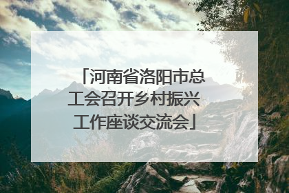 河南省洛阳市总工会召开乡村振兴工作座谈交流会