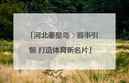 河北秦皇岛：赛事引领 打造体育新名片