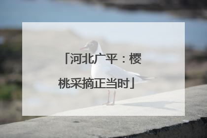 河北广平：樱桃采摘正当时