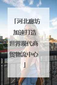 河北廊坊 加速打造世界现代商贸物流中心