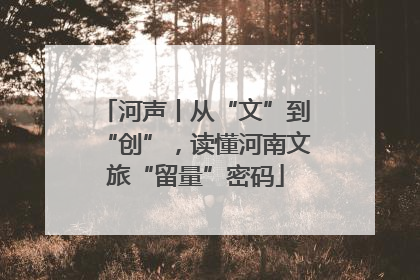 河声丨从“文”到“创”，读懂河南文旅“留量”密码