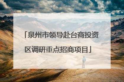 泉州市领导赴台商投资区调研重点招商项目