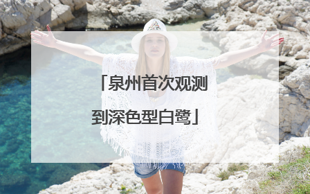 泉州首次观测到深色型白鹭