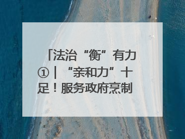 法治“衡”有力①｜“亲和力”十足！服务政府烹制“便民大餐”
