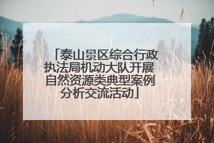 泰山景区综合行政执法局机动大队开展自然资源类典型案例分析交流活动