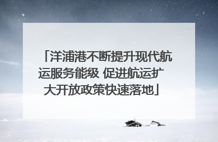 洋浦港不断提升现代航运服务能级 促进航运扩大开放政策快速落地